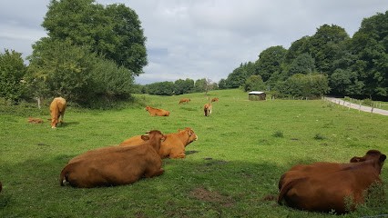 MENUISERIE Du LAC, Menuisier à Chaumousey