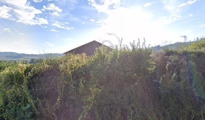 CHARPENTES NUGUES, Charpentier à Dompierre-les-Ormes