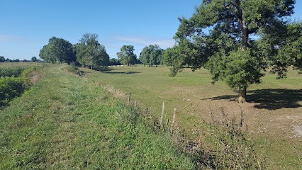 Bon Christian, Menuisier à Lays-sur-le-Doubs