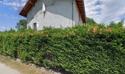 Jacquin Denis, Charpentier à Moirans