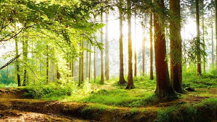 M.C. CONCEPT BOIS, Menuisier à Saint-Julien-Chapteuil