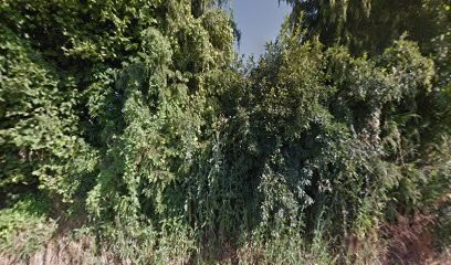 CHARPENTE DU VALOIS, Charpentier à Marizy-Sainte-Geneviève