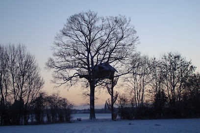 des chênes et vous, Charpentier à Féneyrols