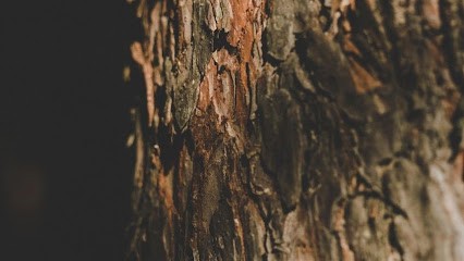 SCBM, Charpentier à Louvigné-du-Désert