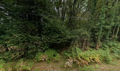 La craie à bois, Menuisier à Écuras