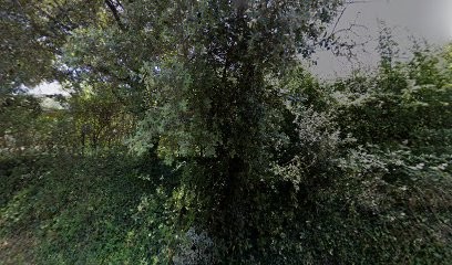 Hubert Denis, Menuisier à Saint-Quentin-la-Poterie