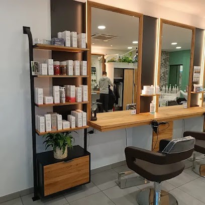 Renard Jean-Michel, Menuisier à Montpellier-de-Médillan