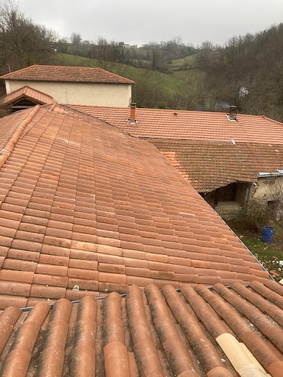 Carbon Johan bois, Menuisier à Nervieux