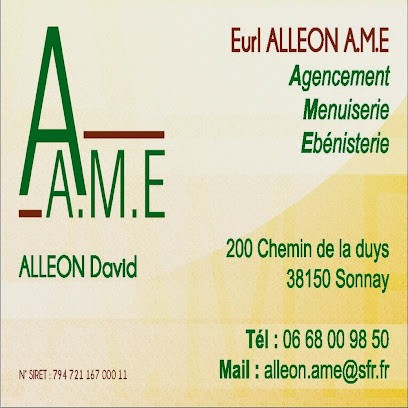 ALLEON Agencement Menuiserie Ebénisterie, Menuisier à Sonnay