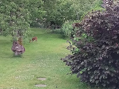 auto-entrepreneur Menuisier, plaquiste., Charpentier à Saint-Perreux