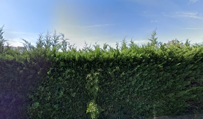 VENTEMENUISERIE, Charpentier à Saint-Jean-Bonnefonds