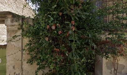 Ebenisterie-ancienne-peinture-artistique, Charpentier à Lunel-Viel