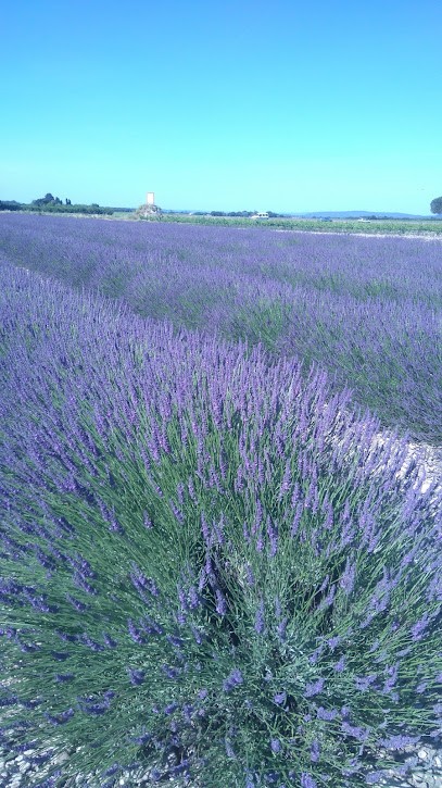 Menuiserie MH Valréas, Menuisier à Valréas
