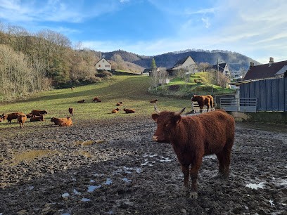 Menuiserie Theron, Charpentier à Vic-sur-Cère