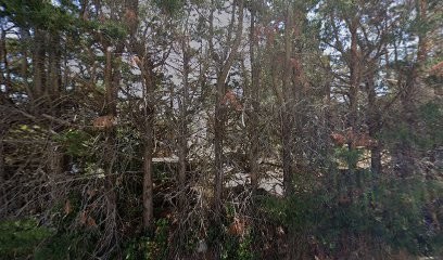 Menuiserie Charpente LABOIRE, Charpentier à Siran