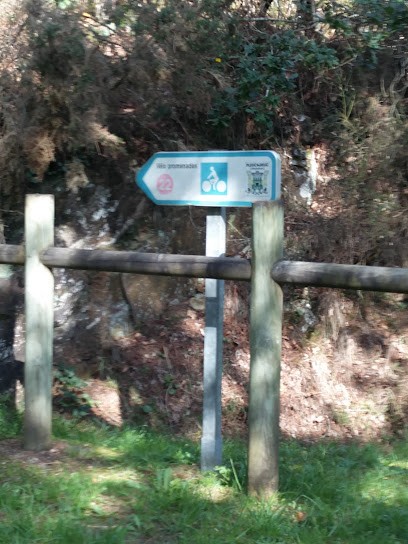 ABS Services, Menuisier à Pleucadeuc