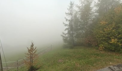 Pelloux Frédéric, Menuisier à Combloux