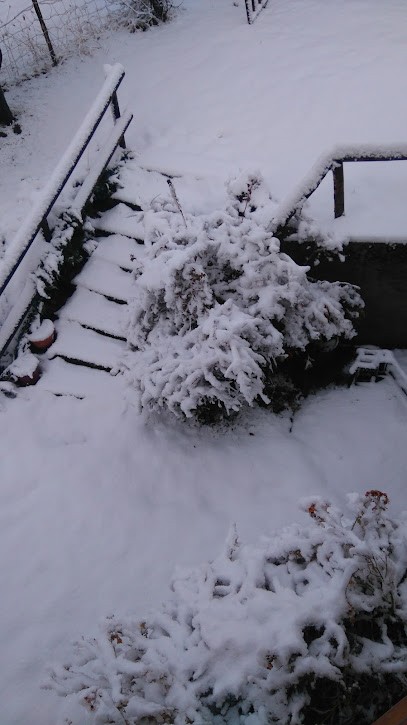 Bastoul Villar, Charpentier à Estavar