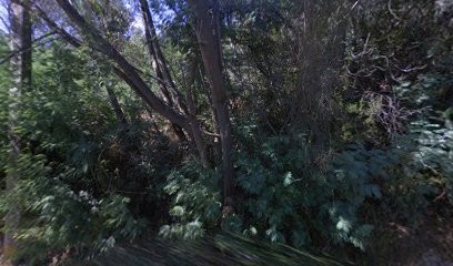 Sarl X'trem Stores Et Fenetres, Menuisier à Mandelieu-la-Napoule