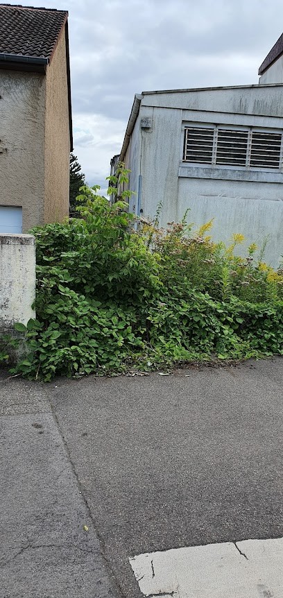 GUENEBAUT FRERES, Menuisier à Thionville