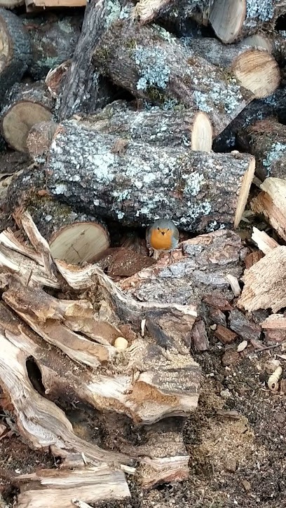 Sarl Loubère Portela, Menuisier à Brocas