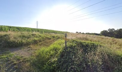 SAS ERIC Menuiserie, Menuisier à Lentilly