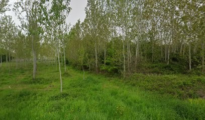 MORA charpente, Charpentier à Montpouillan