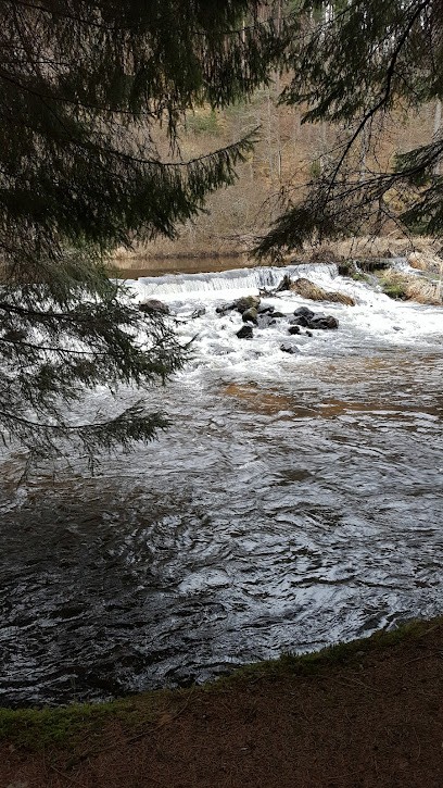 Calmard Alain, Menuisier à Usson-en-Forez
