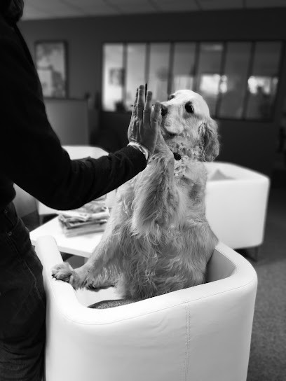 Evenexpo, Menuisier à Tigery