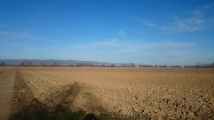 Fermetures HAMM, Menuisier à Réguisheim