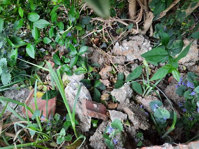 Bécart, Menuisier à Armbouts-Cappel