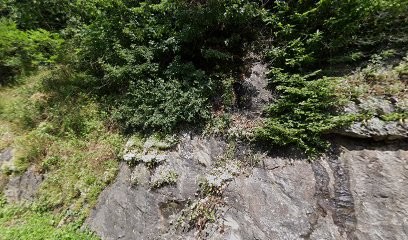 Sarl Garin Pascal Se, Charpentier à Queige