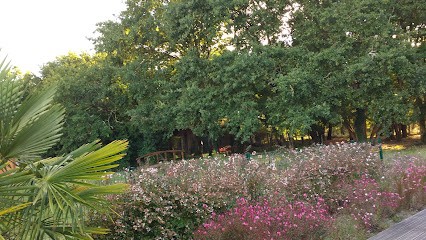 Teixeira Torres Jose Manuel, Charpentier au Teich