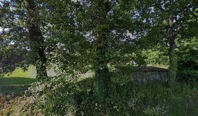 CHATAING, Menuisier à Pancé