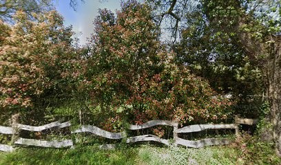 Confort Services Habitat, Menuisier à Campagne