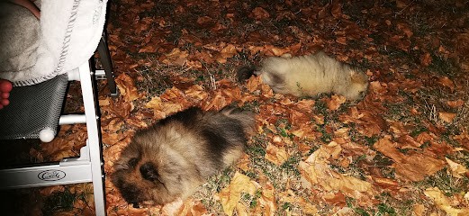 Gay Jean-François, Menuisier à Belleville