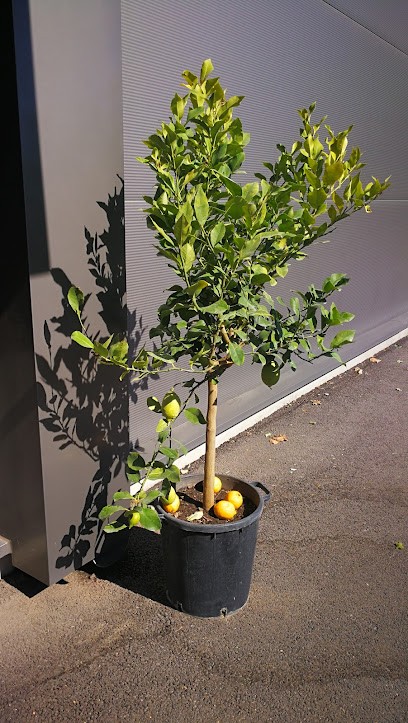 Menuiserie BARBA G .Fabrication, Menuisier à Meyreuil