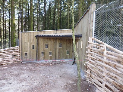 Moreau Et Fils SARL, Charpentier à Marsac