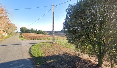 Charpente Cazemage, Charpentier à Polastron