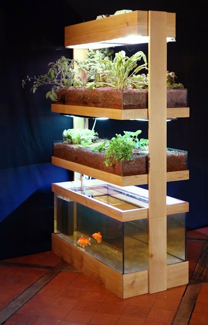 Atelier De Marianne, Menuisier à Savigny-en-Véron