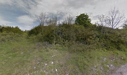 Sarl TI BOIS, Menuisier à Apremont