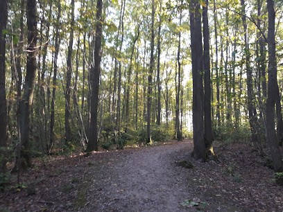 Canut Paul, Menuisier à Gif-sur-Yvette