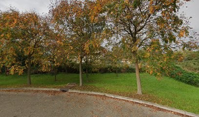 Ateliers Charpentes Nicolas, Charpentier à Saint-Hilaire-de-Brethmas