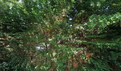 Alem, Charpentier à Saint-Sulpice-et-Cameyrac