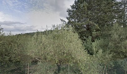 Segura Benoit, Menuisier à Rousson