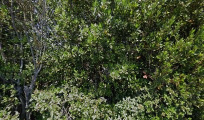 Jego Menuiserie, Charpentier à Uzès