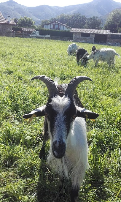 Segure Jean-Louis, Menuisier à Sare