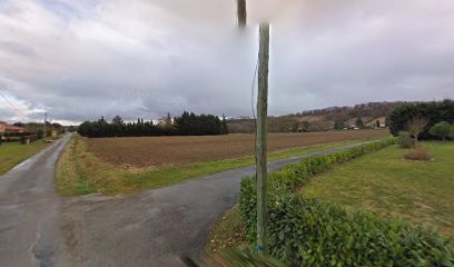 Serre Georges, Charpentier à Pavie