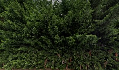 Miraluver Société Nouvelle, Menuisier à Marmande