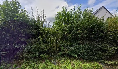 Desrues Emmanuel, Charpentier à Moyon Villages